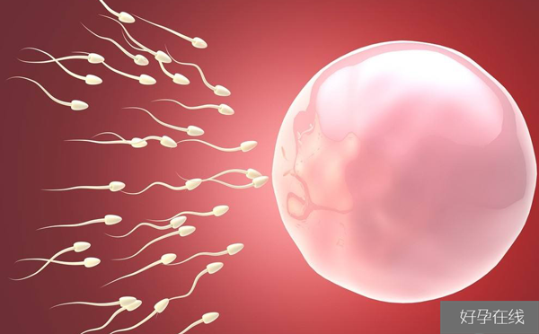 人工授精怎么优化精子