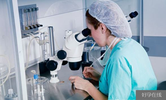 实验室胚胎培养