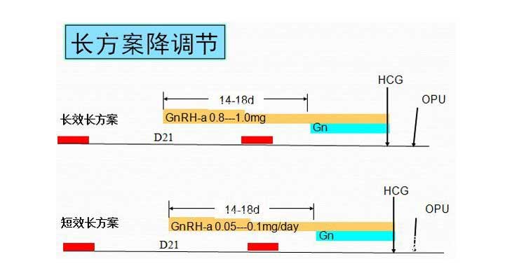 长方案還是短方案好