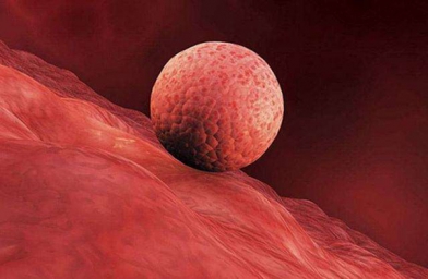 女性子宫内膜薄，干细胞治疗怎么样？
