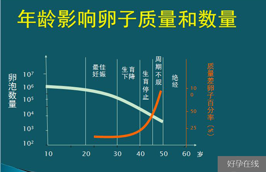 年龄是影响试管婴儿成功的重要因素