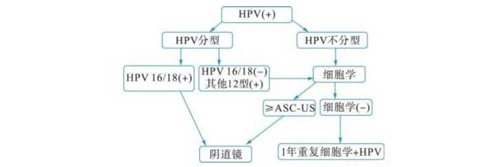 HPV医治思维导图