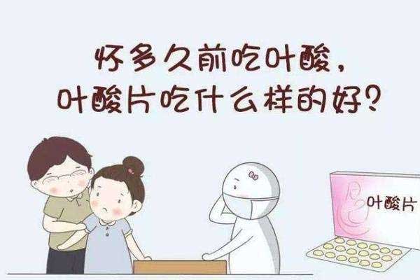 试管婴儿也要补充叶酸